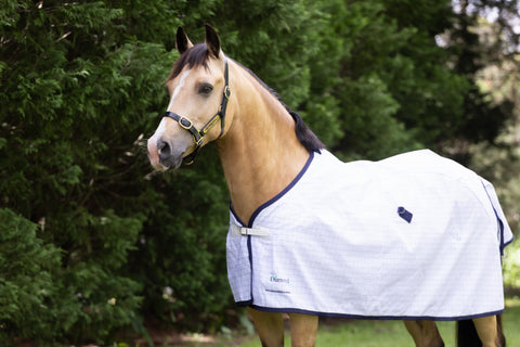 Deluxe Top/Rain Sheets