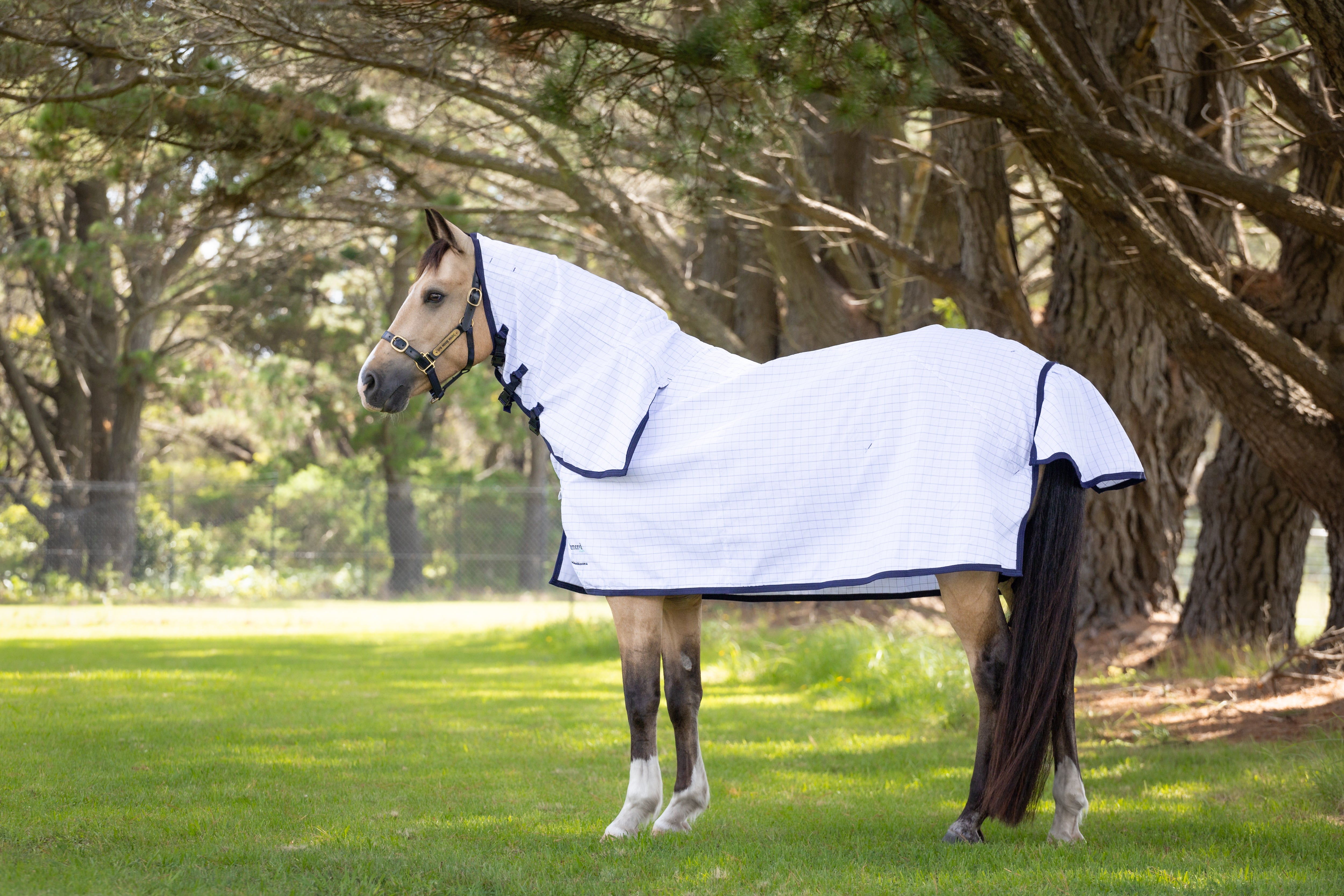 Diamond Deluxe Horsewear