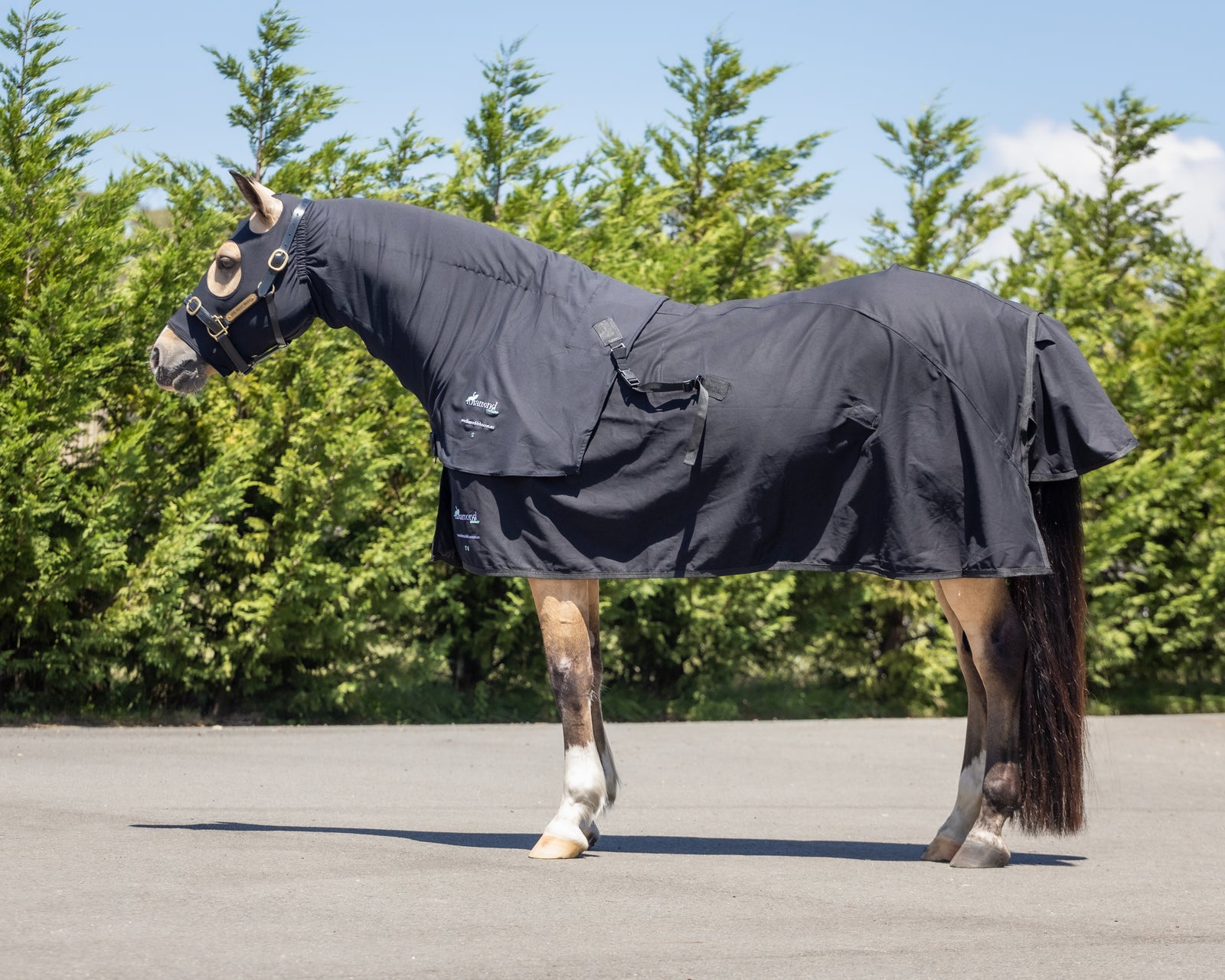 NEW Deluxe Stretch Zip Hoods 2.0 - Black