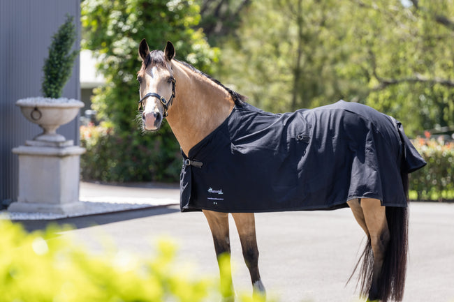 Cotton Drill Rug