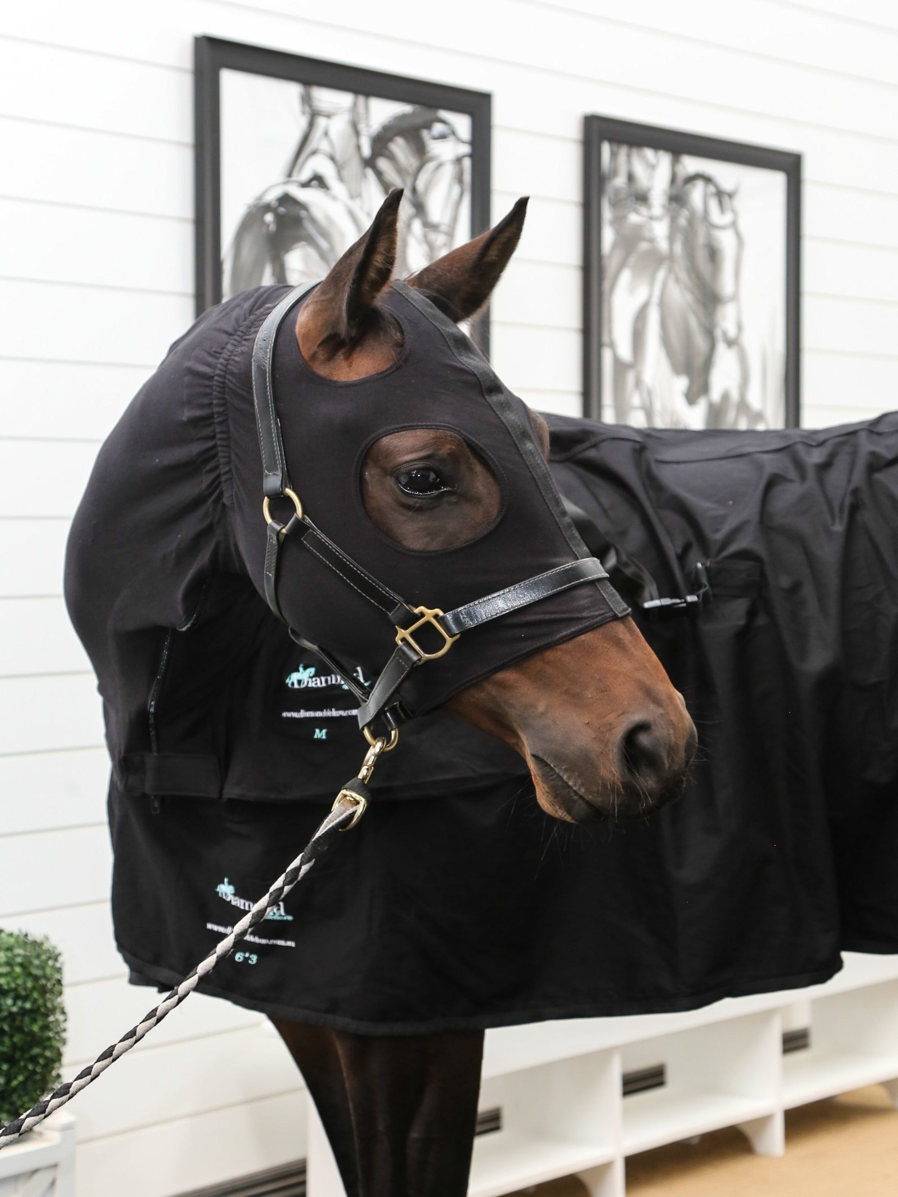 Summer Stretch Zip Hoods - Black